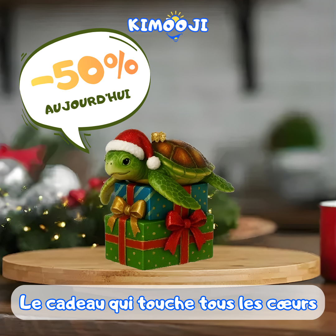 Coffret 24 Tortues Festives