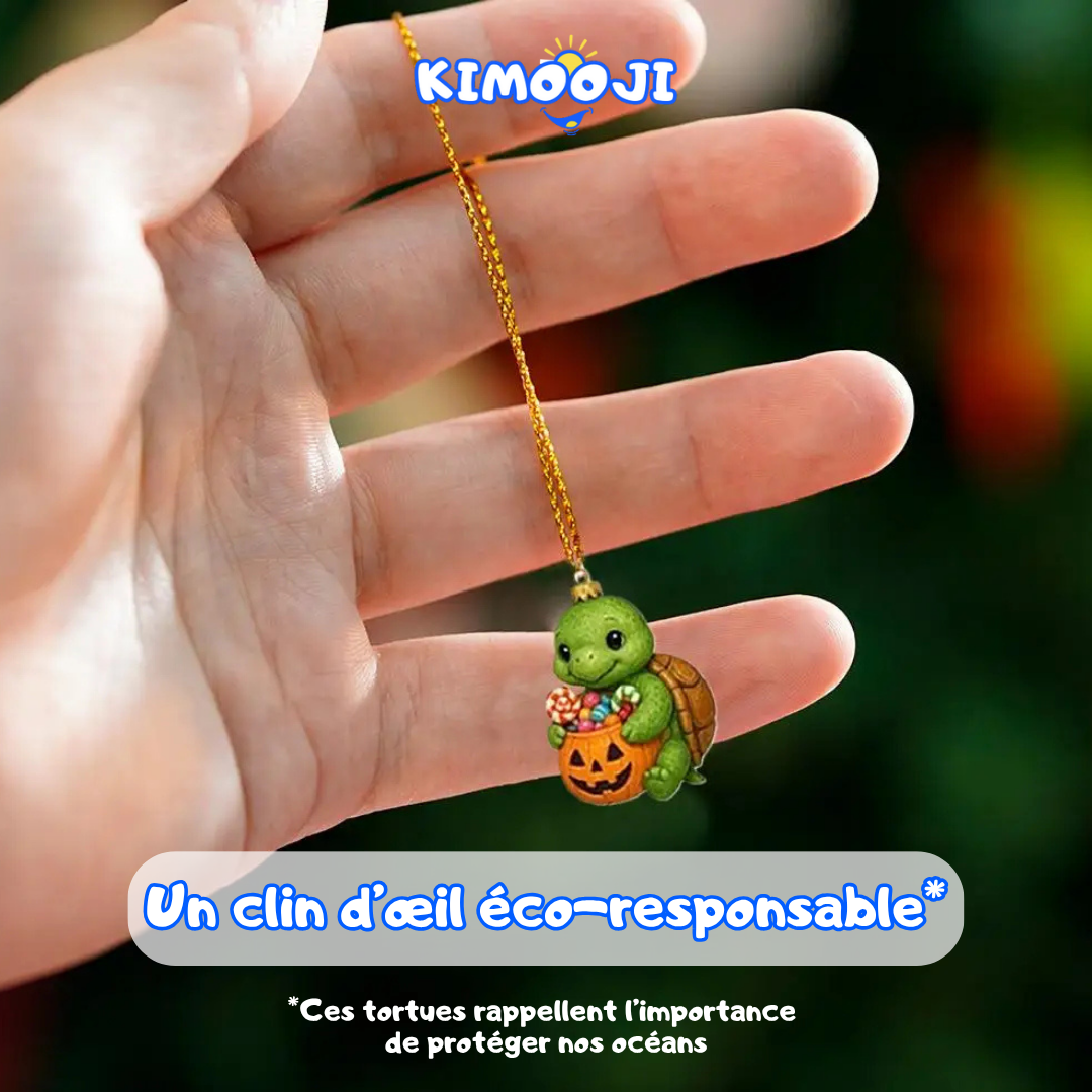 Coffret 24 Tortues Festives