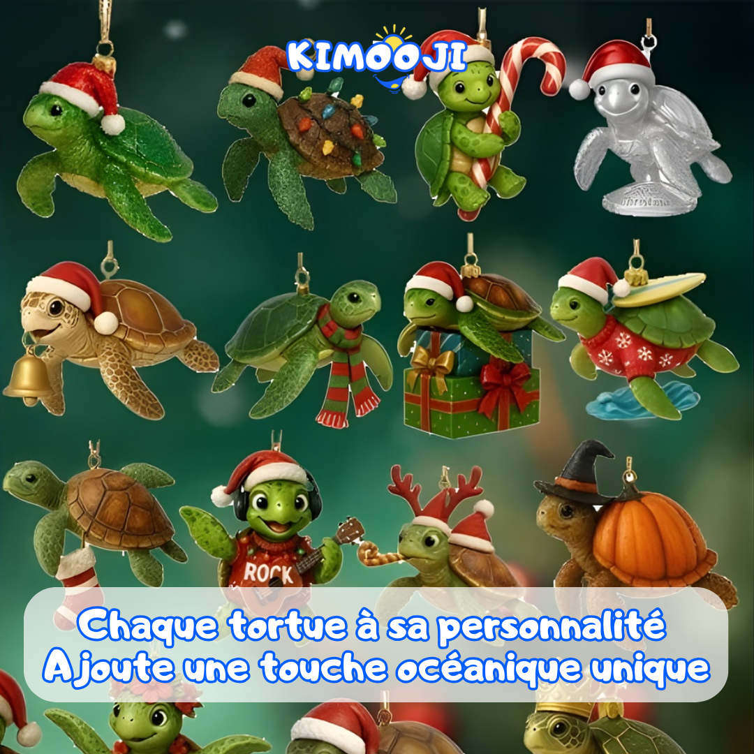 Coffret 24 Tortues Festives