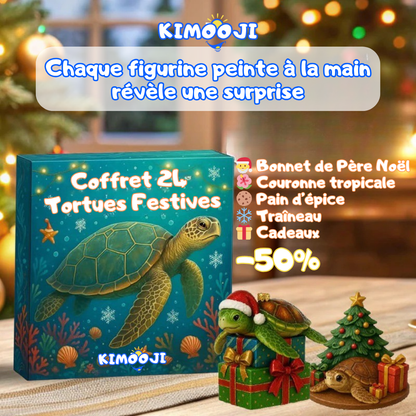 Coffret 24 Tortues Festives